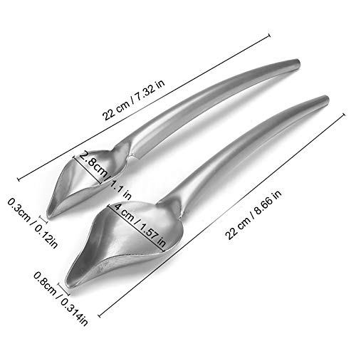 CXJUN Chef de precisión Multiusos Cucharas de Dibujo culinario Cuchara de Chocolate de Acero Inoxidable Cucharas de lápiz Decoración de Pasteles Pastelería para Hornear