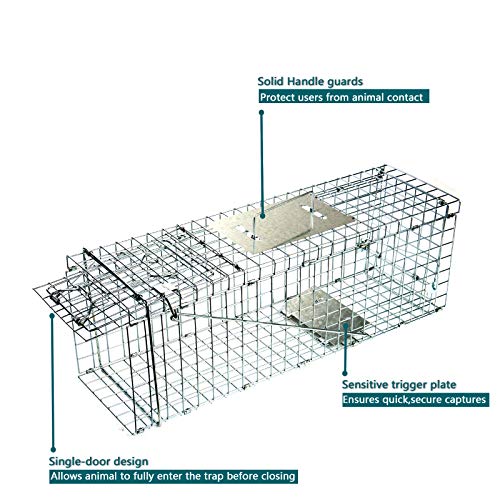 D4P Display4top Animal Trap Cage Trampa de Captura de Animales Vivos, Gatos, Perros, Conejos, roedores (61 x 18 x 21cm)