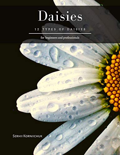 Daisies: 12 Best Types of Daisies (English Edition)