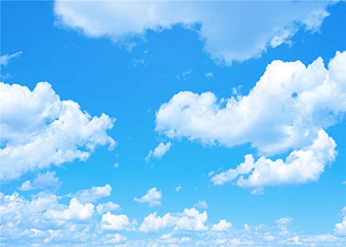 DANIU 7X5FT cielo azul, fondo de nubes blancas - Fondo brillante para fotografía profesional de nube blanca de 1,5 x 2,1 m