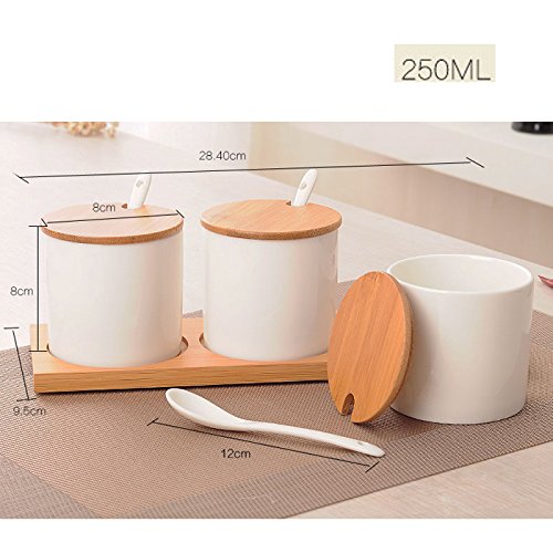 DecentGadget® Ceramic Spice Jar Set//Juego de 3 Recipientes de Condimentos de Cerámica para Especias con Cuchara y Tapas (Equal Height)