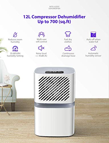 Deshumidificador iTvanila 12L por día para uso doméstico con control WiFi, pantalla LED con apagado automático, secado de la ropa, flujo continuo con manguera, color blanco