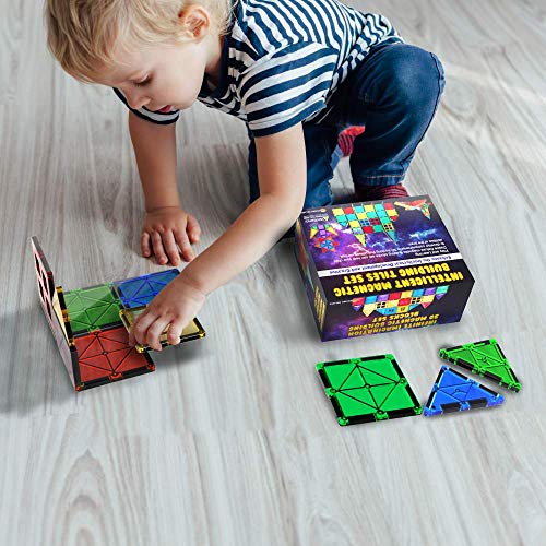 Desire Deluxe Kit Bloques de Construcción Magnéticos 3D para Niños y Niñas de 3 4 5 6 y 7 Años - Juguete Educativo con Figuras Geométricas para Desarrollar la Creatividad de Sus Pequeños - 47 Piezas