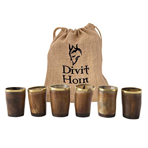 Divit Autentico Cuerno Vikingo Jarra - 24 oz. de Capacidad (Shot Glass, Polished (Set of 6))