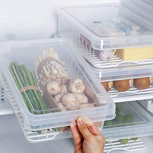 DJYD Caja de conservación para refrigerador, contenedor de almacenamiento de producción, con tapa puede contener 18 huevos de plástico contenedores de almacenamiento con tapas FDWFN