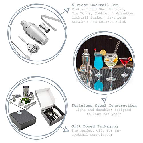 Dljyy 5 Piezas de cóctel Bebidas Camarero Que Hace la Caja de Regalo Conjunto con Manhattan Coctel del Acero Inoxidable de la coctelera, Bebidas Medida, Pinzas, Cuchara colador Twisted