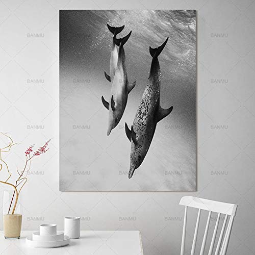 Dolphin Animal Nordic Abstract Wall Pictures para Sala de Estar Art Decoration Picture Scandinavian Canvas Painting (Sin Marco) R1 40x50CM