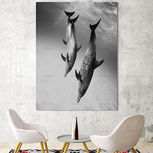 Dolphin Animal Nordic Abstract Wall Pictures para Sala de Estar Art Decoration Picture Scandinavian Canvas Painting (Sin Marco) R1 40x50CM