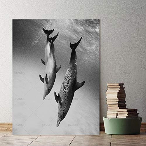 Dolphin Animal Nordic Abstract Wall Pictures para Sala de Estar Art Decoration Picture Scandinavian Canvas Painting (Sin Marco) R1 40x50CM