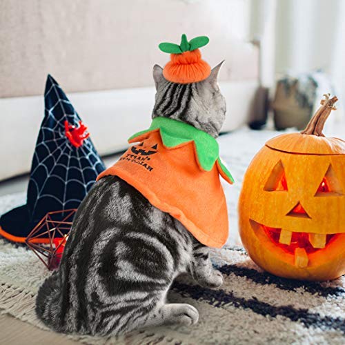 Dorakitten Disfraz para Gato, Disfraz Halloween Gato Disfraz de Calabaza para Gato Mantón para Mascotas con Sombrero de Calabaza para Gato y Perrito, Doble Cara