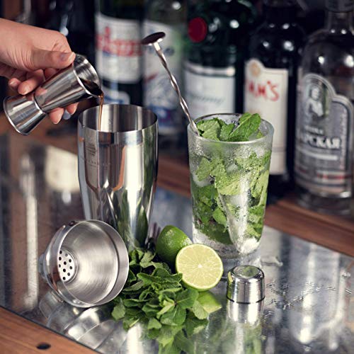 Dsnmm Reg;Mayfair cóctel Haciendo Conjunto Grande de Estilo Manhattan Acero Inoxidable Shaker, Muddler, Colador, Bar Medida, vertedor, Cuchara Receta de folletos |Presentado en una Caja de Regalo DS