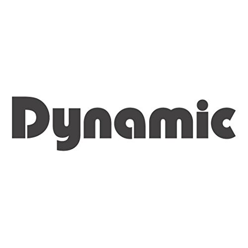 Dynamic - Batidora de mano Dynamix 160/190 mm desmontable, naranja, Pied 190mm / 250W