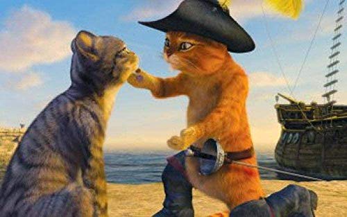 DZX Pintura al óleo de Bricolaje por números, Gato Cavalier, 16 * 20 Pulgadas, niños Adultos, Dibujo temprano, Herramienta de introducción, Pinturas, Rompecabezas, sin Marco, Pintura en Lienzo a