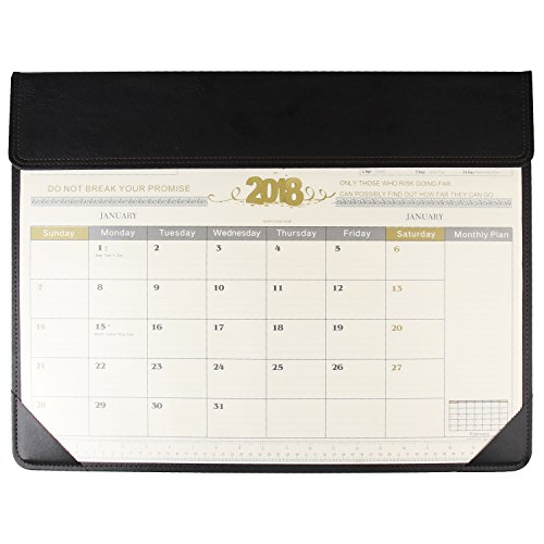 Easy Eagle Calendario Escritorio, Alfombra de Escritorio, Marzo 2020 a Mayo 2021, 22.5" x 17"