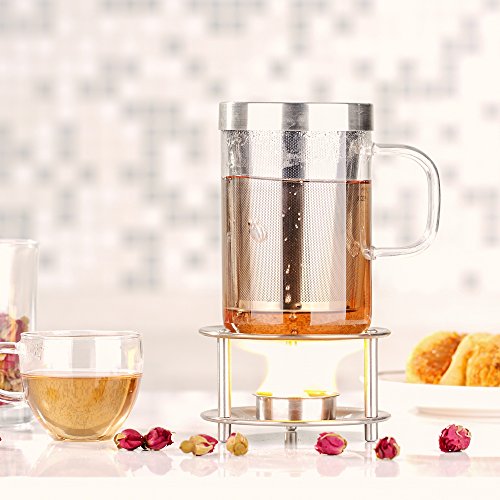 Ecooe taza de cristal Vaso de vidrio con colador de acero inoxidable y tapa Vaso de té Vaso de té de borosilicato 500 ml (capacidad total)