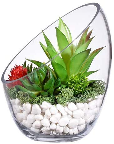 Ecosides- Jarrón de Cristal Transparente Inclinado para Terrario, Diseño de Globo Redondo de Cristal con Burbujas de Corte Ancho, para Poner Caramelos,Plantas,Flores,Frutas