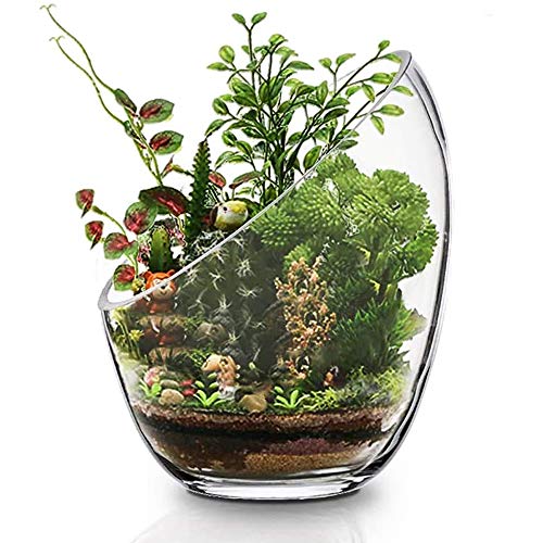 Ecosides- Jarrón de Cristal Transparente Inclinado para Terrario, Diseño de Globo Redondo de Cristal con Burbujas de Corte Ancho, para Poner Caramelos,Plantas,Flores,Frutas