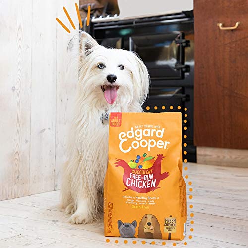 Edgard & Cooper pienso para Perros Adultos sin Cereales, Natural con Pollo Fresco de Granja, 2.5kg. Alimentación equilibrada sin harinas de Carne ni Carnes sobreprocesadas cocinada a Baja Temperatura