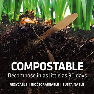 ekhõ The Wood Way! – Juego de 100 Cubiertos Desechables de Madera Sostenible – 40 tenedores + 40 cucharas + 20 cuchillos Ecológicos Biodegradables y Compostables