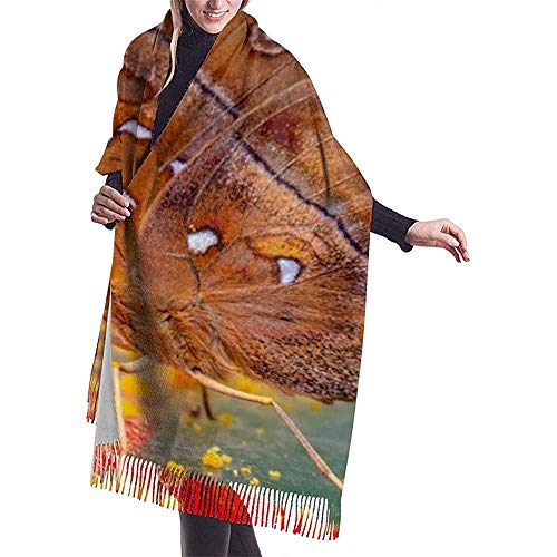 Elaine-Shop Imitar Cachemira Bufanda de invierno Pashmina Chal Wraps Manta Bufandas Envoltura elegante para mujeres Varios piensos en The Butterfly House