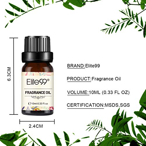 Elite99 Aceites de Fragancia, Aceites Esenciales para Humidificadores, Aceites de Aromaterapia de 10 Sabores de Flores y Frutas, Caramelo, Jazmín, Naranja, Menta, Limón, 10ML