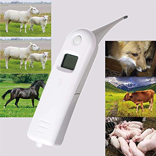 EMGOD Termómetro Digital Perro, Veterinario Profesión Termómetro, Sonda De Temperatura del Metal Veterinaria 6S Medición De Temperatura Precisa Y Rápida con Función De Memoria