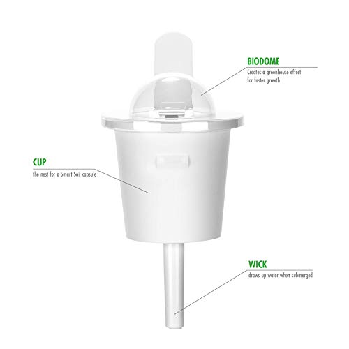 Emsa 3 Cápsulas Tomate Click & Grow, Semillas apta para Smart Garden, huerto urbano, tierra inteligente, jardín hidropónico, resultados en 40 días, Sistema automático iluminación LED