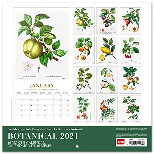 ERIK - Calendario de pared 2021 Botanical, 30x30 cm