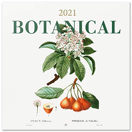 ERIK - Calendario de pared 2021 Botanical, 30x30 cm