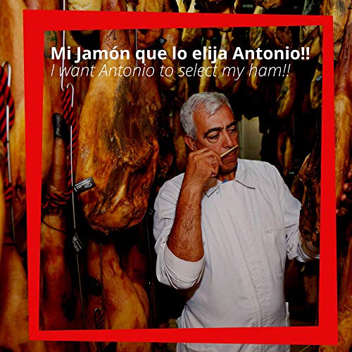 Estuche Paleta de Jamon de Cebo de Campo Iberico 50% Raza Iberica - 10 Sobres Loncheados de 100 gr Jamon Iberico Cortado a Mano y Envasados al Vacio - Embutidos Ibericos de Bellota – Loncheado 1 kg