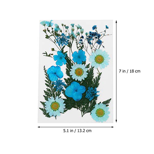 EXCEART Múltiples Flores Secas Hojas de Flores Prensadas Plantas de Bricolaje Material de Muestra para Artesanía Tarjeta de Felicitación Decoración de La Caja Del Teléfono (Azul Cielo