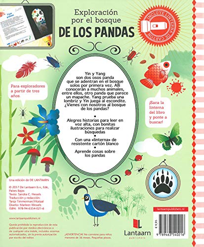 Exploración por el bosque de los pandas