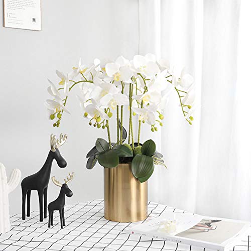 FagusHome 32 Pulgadas de Flores Artificiales de Phalaenopsis 4 Piezas con 2 Paquetes de Hojas de Flores de orquídeas Artificiales Plantas de Tallo para la decoración del hogar (Blanco)