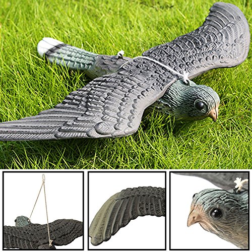 FAVOLOOK disuasorio de pájaros volando con forma de hawk, grande, realista, para decoración de estanques de jardín, pájaros y pájaros, as picture show