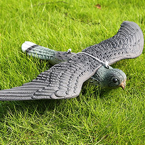 FAVOLOOK disuasorio de pájaros volando con forma de hawk, grande, realista, para decoración de estanques de jardín, pájaros y pájaros, as picture show