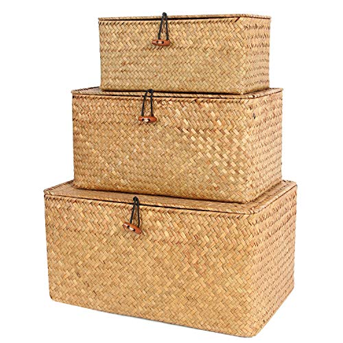 FEILANDUO - Juego de 3 cestas con tapa para decoración del hogar, cestas de almacenamiento de junco marino de mimbre natural