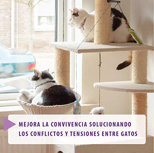 FELIWAY Friends - Anticonflictos para gatos - Peleas, Persecuciones, Bufidos, Bloqueos - Difusor + Recambio 48 ml