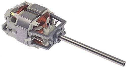 Fimar - Motor para batidora FR1G, FR1P, FR2G, FR2P 230 V 50 Hz, eje de 10 mm de diámetro, 1 fase, altura 117 mm, ancho 62 mm, longitud 70 mm, eje 125 mm