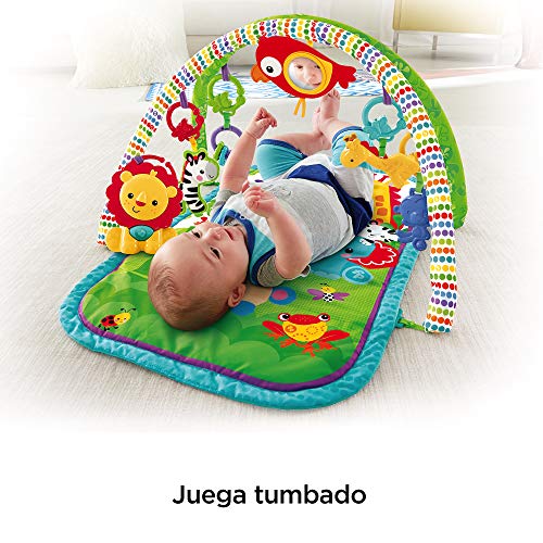 Fisher-Price - Gimnasio musical animalitos - gimnasios bebe - (Mattel CHP85)