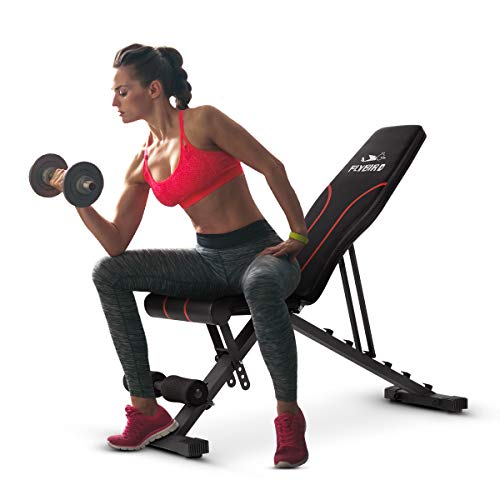 FLYBIRD Banco Ajustable, Banco de Pesas utilitario para Entrenamiento de Cuerpo Completo: Banco Plegable/inclinable Multiusos Plegable (Negro)