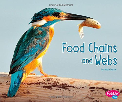 Food Chains and Webs (Pebble Plus: Life Science)