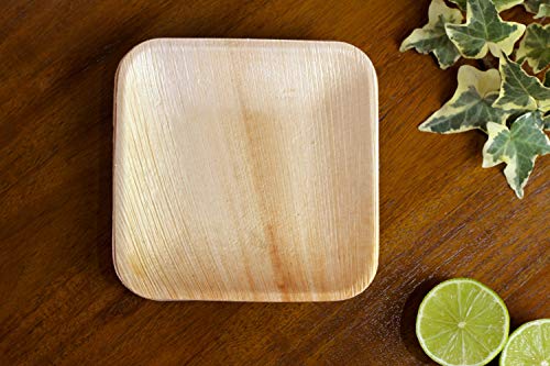 FOOGO Green 25 Platos de hoja de palma Desechable|15cm Plato de postre Cuadrado|Vajilla Ecológico Biodegradable|Como platos de bambu,Platos de plástico,Platos papel|Para la Fiesta de Bodas,Camping