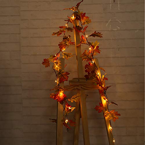 FunPa Hojas de Otoño, 3M 30 LED Guirnalda de Otoño Halloween Hojas de Arce Luces de Hadas Hojas de Arce Artificiales Otoño Bodas Fiesta Temática de Otoño Fiesta de Gracias Navidad Mesa Decoración