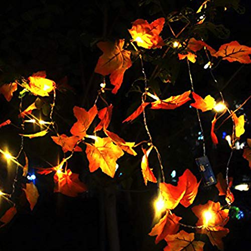 FunPa Hojas de Otoño, 3M 30 LED Guirnalda de Otoño Halloween Hojas de Arce Luces de Hadas Hojas de Arce Artificiales Otoño Bodas Fiesta Temática de Otoño Fiesta de Gracias Navidad Mesa Decoración