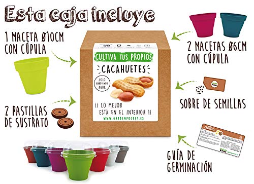 Garden Pocket - Kit Cultivo Cacahuete
