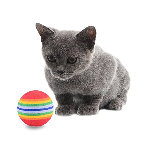 Gatos de la pelota de juguete de mascota de gato de hundewelpen de arco iris de colores 3.5 cm 1.38 pulgadas de espuma EVA de suave parte de seguimiento kauen de entrenamiento práctica de conjunto d