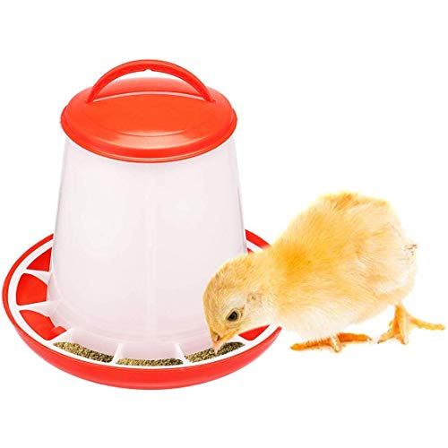 GCSEY Botellas De Pollo Alimentador De Bebederos De Aves De Corral del Agua De Alimentación De Pollo Envase De Alimento Automáticos De Bebidas Bird Cuadrícula