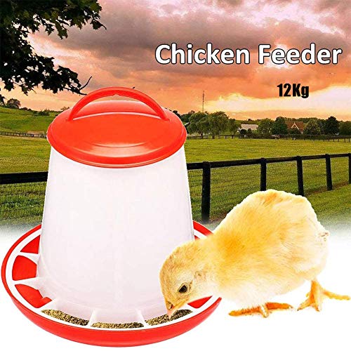 GCSEY Botellas De Pollo Alimentador De Bebederos De Aves De Corral del Agua De Alimentación De Pollo Envase De Alimento Automáticos De Bebidas Bird Cuadrícula