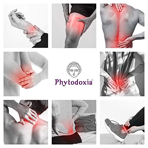 Gel Physio Cream 500 ml | Dolor Muscular y de Articulaciones Deporte | Crema Antiinflamatoria Dolor de Espalda | Crema Masaje Fisioterapia | Harpagofito Arnica Calendula Hiperico Menta