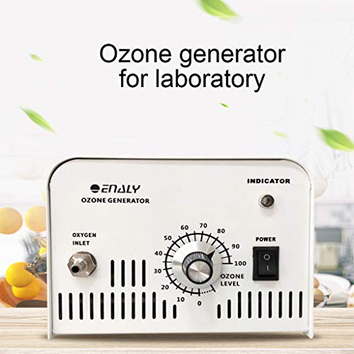 Generador comercial de ozono de aire de 1000 mg / h para el hogar, purificador de aire de 110 V / 220 V, purificador de aire para el hogar, esterilizador para la eliminación de olores en habitacione